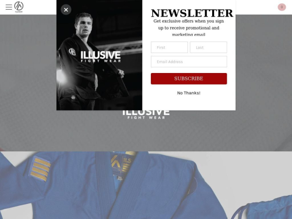 ilsv.net