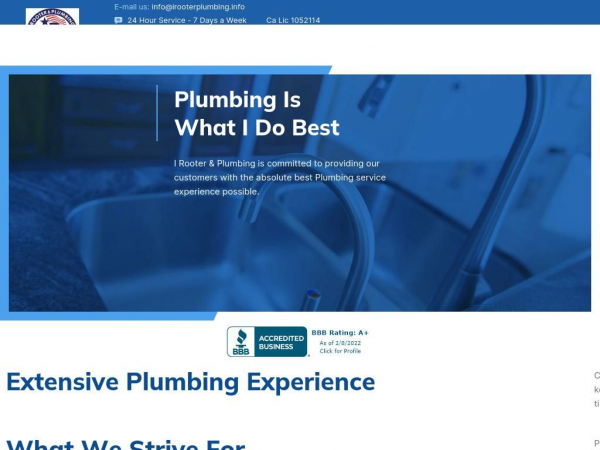 irooterandplumbing.com