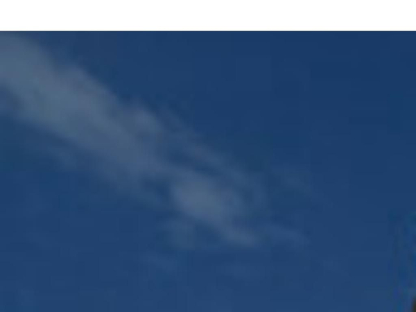 oemspore.com