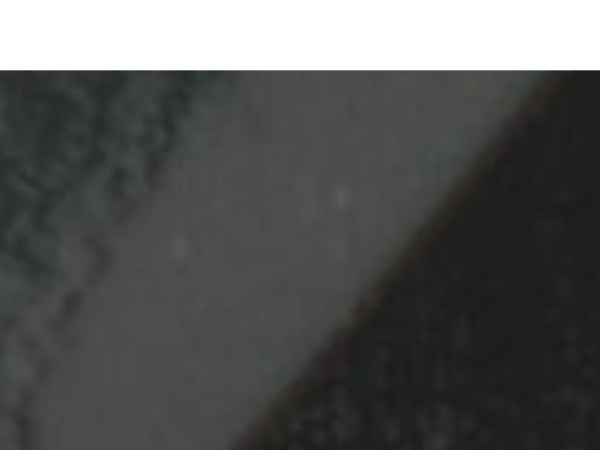 shusinandoutsmokehouse.com